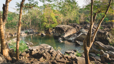 Deep stream in tropical zoneの写真素材