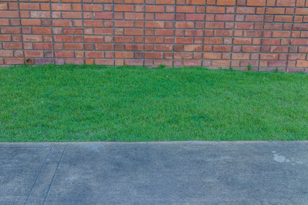 Old Red brick wall and green grassの写真素材