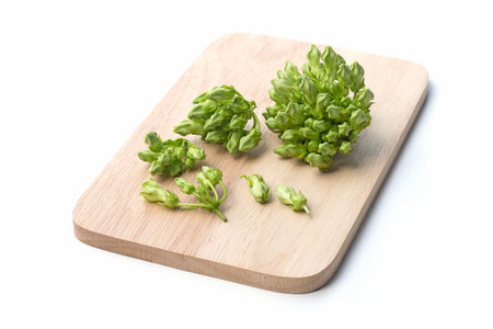 Thai herbal food ingredient Cowslip flower on white background. Study found that it can treat and prevent various sickness.の写真素材