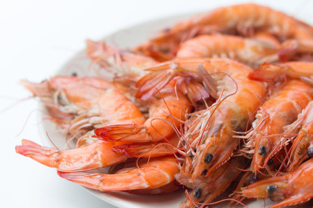 fresh seafood shrimp in white plate and isolated on white backgroundの写真素材