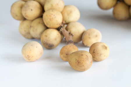 Lansium parasiticum, also known as Longkong or Langsat is tropical fruit in  south east asia.