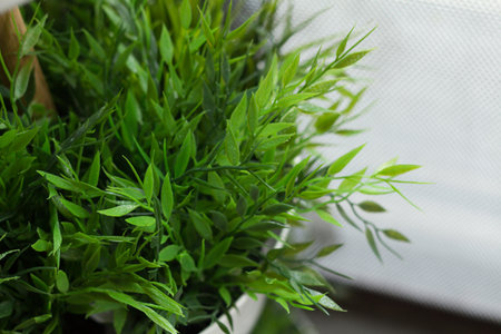 Plastic Plant decor in the restaurant. soft focusの写真素材