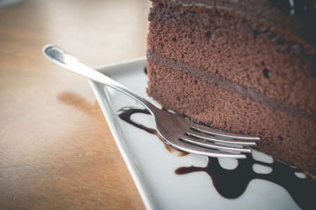 Piece of chocolate cake with warm chocolate syrupsoft focus and fade effect of vintage style