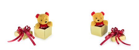 Teddy bear in the gift box that isolated on white background with copy spaceの写真素材