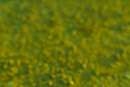 Blurred abstract imaged of green color backgroundの写真素材