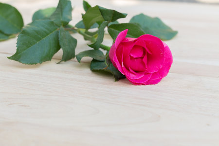 Pink roses for valentine's day on wooden background,  romantic backgroundの写真素材