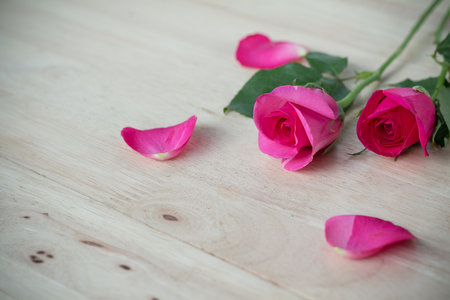 Pink roses for valentine's day on wooden background,  romantic backgroundの写真素材