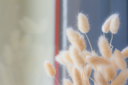 Bouquet of dried flowers in vase. Dried flower for interior decoration. Interior object(vintage effect,selective focus)の写真素材