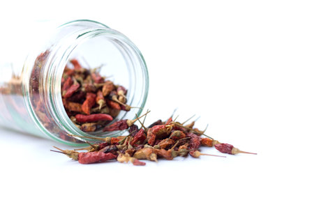 dried red chili isolated on white background for spicy tasteの写真素材