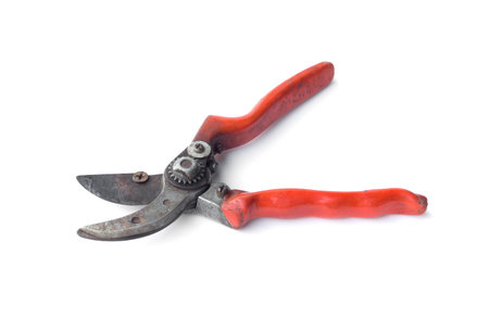 Pruning shears or gardening clipper on isolated background