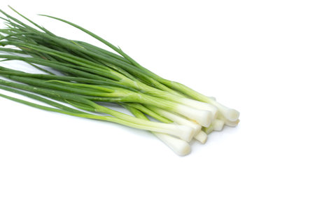 picture of fresh bunch of green onions or scallions placed on white backgroundの写真素材