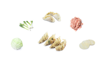 Picture of fried dumplings or gyoza isolated on white backgroundの写真素材