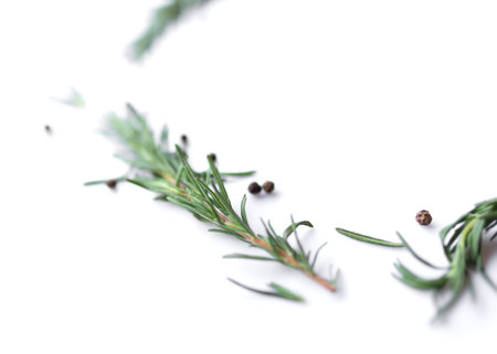 pepperand rosemary for cooking isolated on white backgroundの写真素材