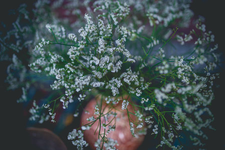 picture of the boutique white dried flower in the vase for home decorationの写真素材