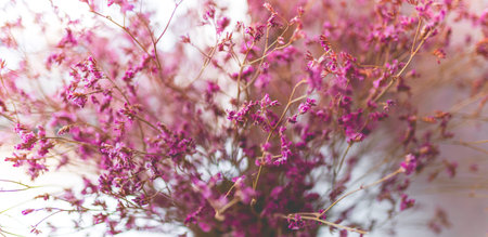 picture of the boutique purple dried flower in the vase for home decorationの写真素材