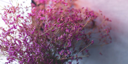 picture of the boutique purple dried flower in the vase for home decorationの写真素材