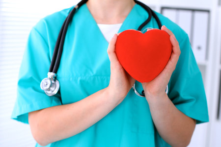 Female surgeon doctor with stethoscope holding heartの写真素材
