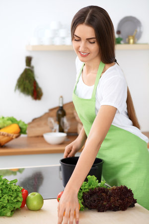 Beautiful Hispanic woman in a green apron cooking in the kitchenの写真素材
