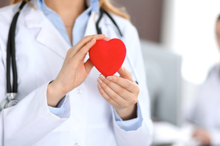 Female doctor with stethoscope holding heart.の写真素材
