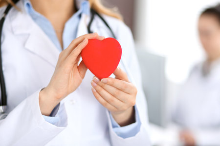 Female doctor with stethoscope holding heart.の写真素材