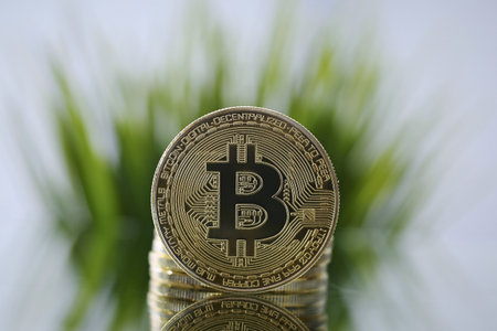 Closeup of Golden Bitcoin facing the camera opposite of green grass. Virtual anonymous money and fast course growth conceptの写真素材