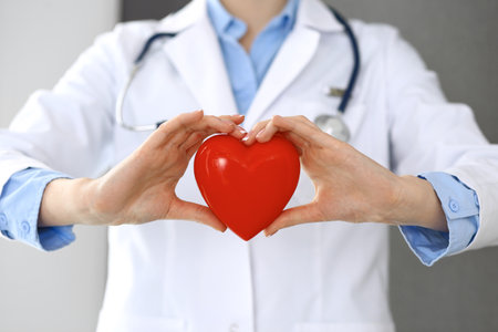 Female doctor with stethoscope holding heart in her arms. Healthcare and cardiology concept  in medicineの写真素材