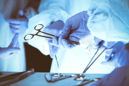 Surgeons hands holding surgical scissors and passing surgical equipment, close-up. Health care and veterinary conceptの写真素材