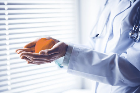 Close-up of unknown female doctor with stethoscope holding heart near the window in hospital.の写真素材