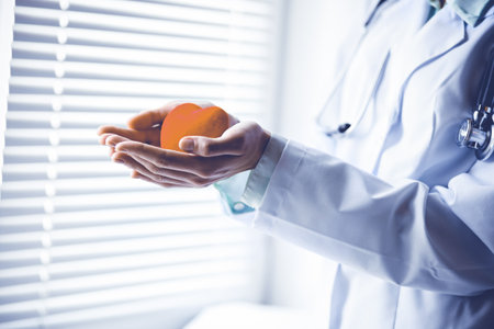 Close up of unknown female doctor with stethoscope holding heart near the window in hospitalの写真素材