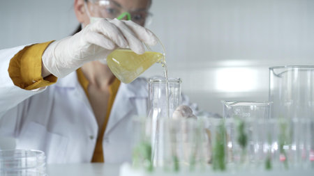Woman scientist wearing a lab coat, white gloves, and a mask is pouring a yellow oily liquid from a beaker into an Erlenmeyer flask in a laboratory setting, close up. Science and medicineの写真素材