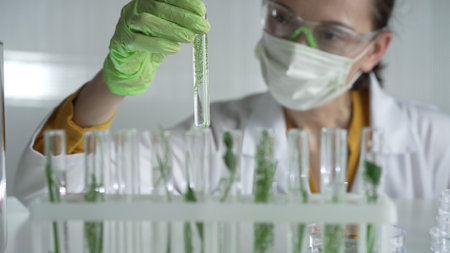 Female scientist wearing a lab coat, green gloves and mask looking to the test tube with plants inside, close up. Science and medicineの写真素材