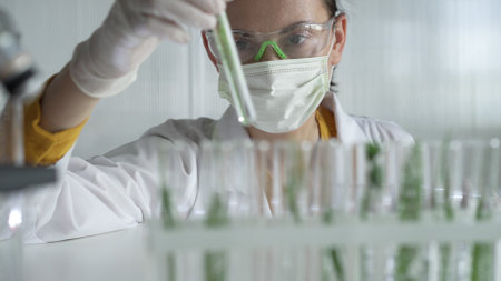 Woman scientist and researcher, wearing a lab coat, green protective gloves and face mask holding a test tube with plants inside, close up. Science conceptsの写真素材