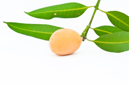 Marian plum or maprang  thai fruit  isolated on white background の写真素材