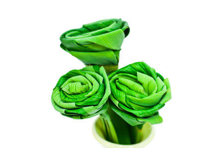 Roses made from Pandanus leaf の写真素材