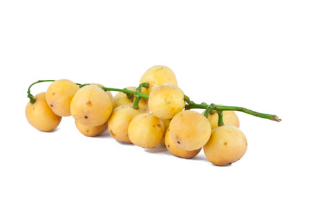 Burmese grapes on white background の写真素材