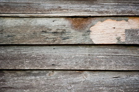 the wood texture with natural patterns の写真素材