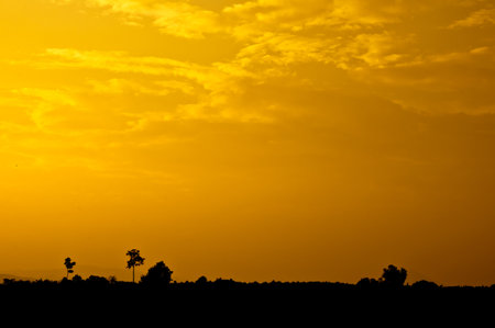 Beautiful sunset on the field, Thailand の写真素材
