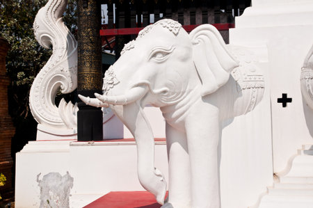 White asia elephant statue of thailandの写真素材
