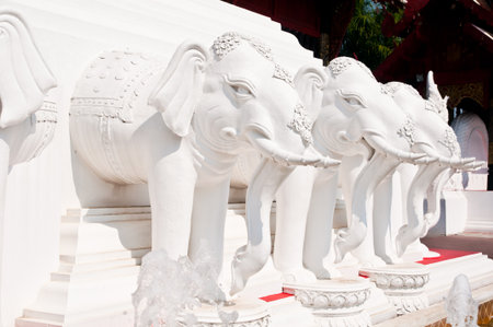 White asia elephant statue of thailandの写真素材