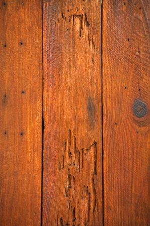 Wood textureの写真素材