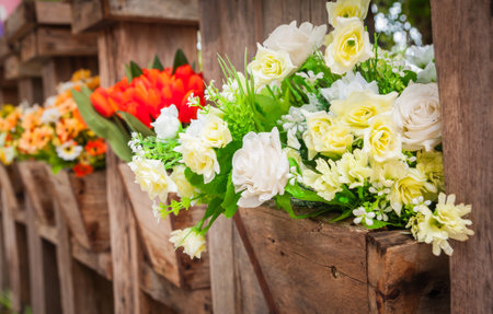White rose flower in pots の写真素材