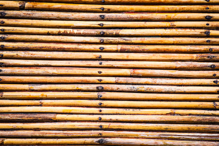 Bamboo fence の写真素材