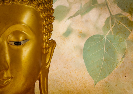 Buddha and Bodhi Leavesの写真素材