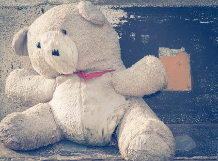 Old bear on the floorの写真素材