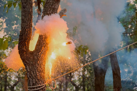 Fireballs explode tree