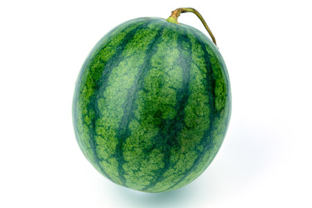 Watermelon placed on a white background.の写真素材