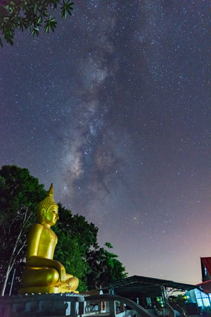 Night sky with stars and  Biggest Buddhaの写真素材