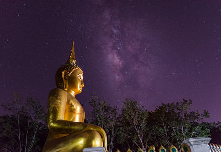 Night sky with stars and  Biggest Buddhaの写真素材