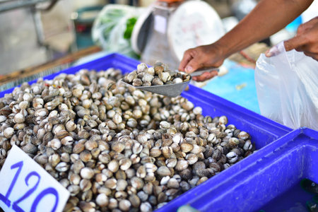 Cockle are sold by market.の写真素材
