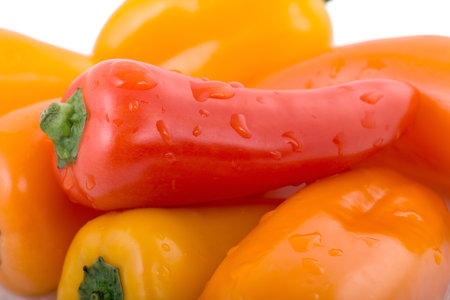 Red pepper の写真素材